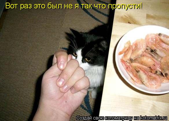 Котоматрица: Вот раз это был не я так что пропусти!