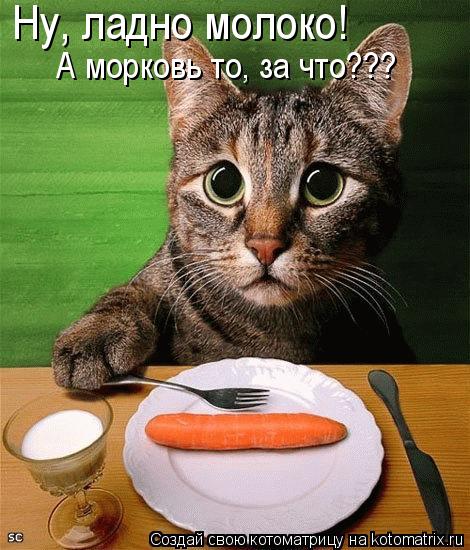 Котоматрица: Ну, ладно молоко! А морковь то, за что???