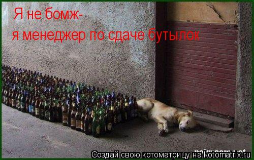 Я не бомж- я менеджер по сдаче бутылок... Котоматрица: Я не бомж- я менеджер по сдаче бутылок