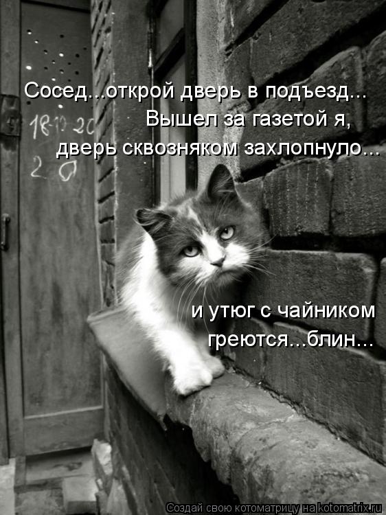 Котоматрица: Сосед...открой дверь в подъезд... Вышел за газетой я,  дверь сквозняком захлопнуло... и утюг с чайником греются...блин...