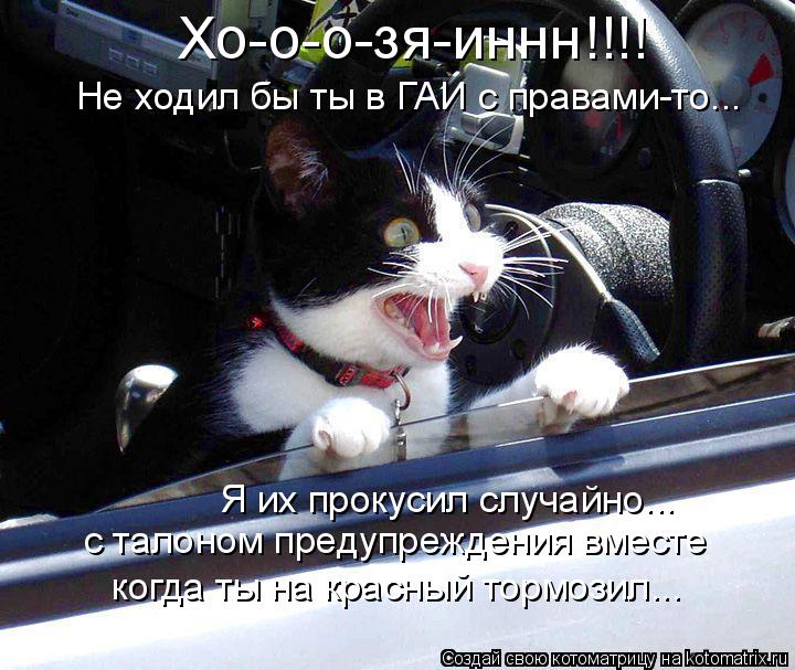 Хо-о-о-зя-иннн!!!! Не ходил бы ты в ГАИ с правами-то... Я их прокусил случайно... с талоном предупреж... Котоматрица: Хо-о-о-зя-иннн!!!! Не ходил бы ты в ГАИ с правами-то... Я их прокусил случайно... с талоном предупреждения вместе когда ты на красный тормозил...