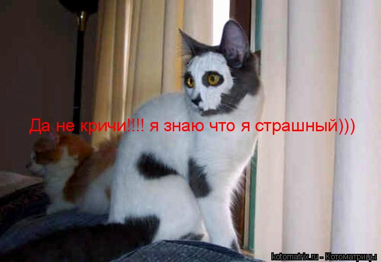 Да не кричи!!!! я знаю что я страшный)))... Котоматрица: Да не кричи!!!! я знаю что я страшный)))