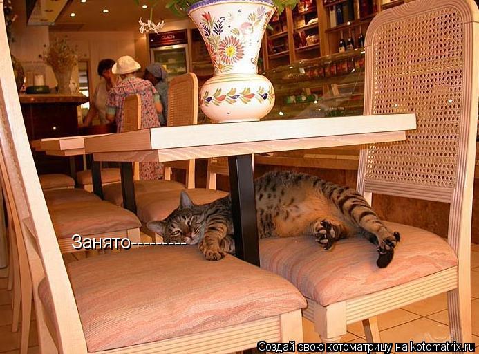 Котоматрица: Занято---------