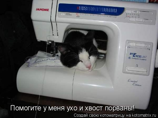 Котоматрица: Помогите у меня ухо и хвост порваны!