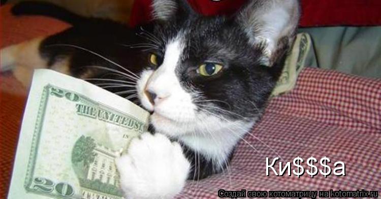Котоматрица: Ки$$$а