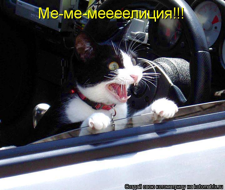 Котоматрица: Ме-ме-меееелиция!!!