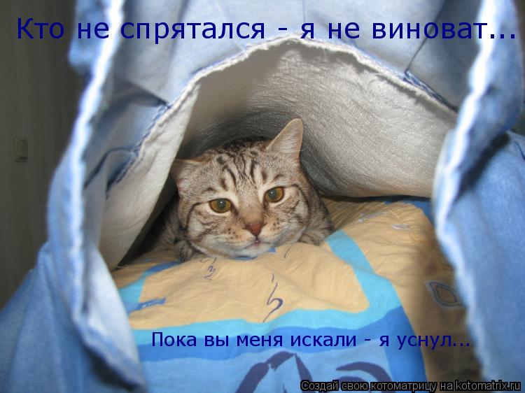 Котоматрица: Кто не спрятался - я не виноват... Пока вы меня искали - я уснул...