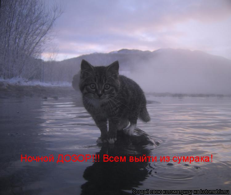 Котоматрица: Ночной ДОЗОР!!! Всем выйти из сумрака!