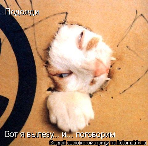 Котоматрица: Подожди Вот я вылезу... и... поговорим
