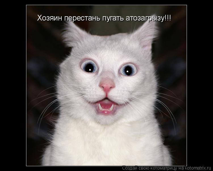 Котоматрица: Хозяин перестань пугать атозагрызу!!!