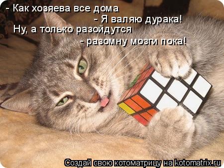 - Как хозяева все дома - Я валяю дурака! Ну, а только разойдутся - разомну мозги пока!... Котоматрица: - Как хозяева все дома - Я валяю дурака! Ну, а только разойдутся - разомну мозги пока!