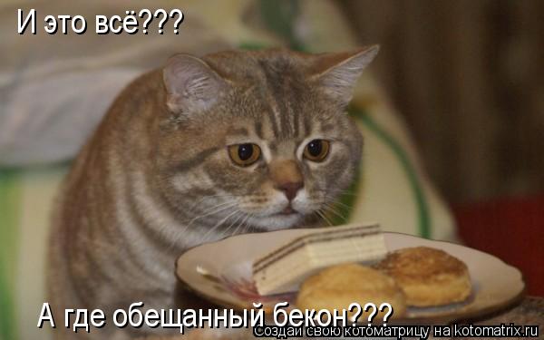 Котоматрица: И это всё??? А где обещанный бекон???