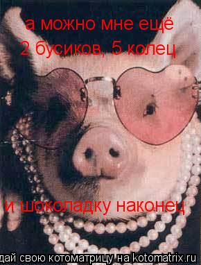 Котоматрица: а можно мне ещё 2 бусиков, 5 колец и шоколадку наконец