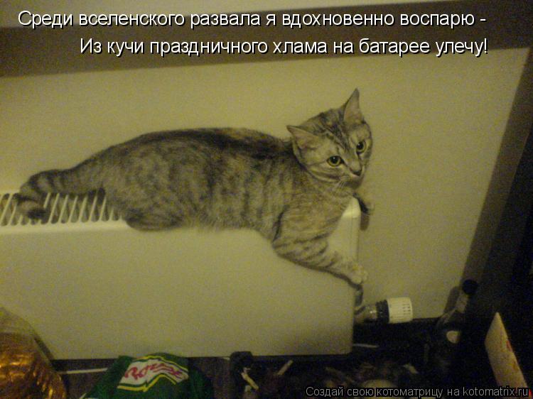 Котоматрица: Из кучи праздничного хлама на батарее улечу! Среди вселенского развала я вдохновенно воспарю -