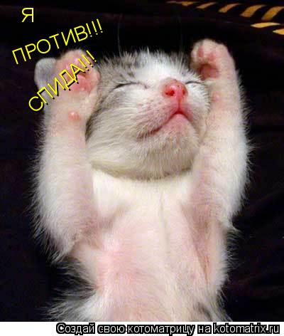 Котоматрица: Я ПРОТИВ!!! СПИДА!!!