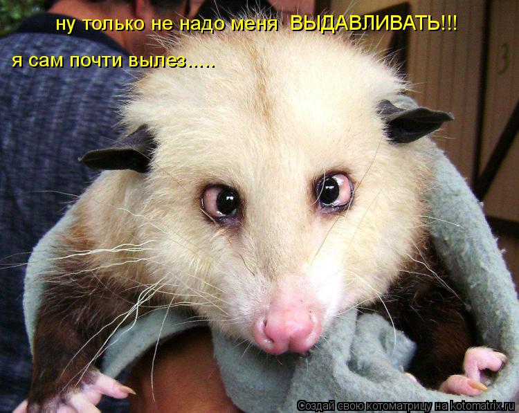 ну только не надо меня ВЫДАВЛИВАТЬ!!! я сам почти вылез........ Котоматрица: ну только не надо меня ВЫДАВЛИВАТЬ!!! я сам почти вылез.....