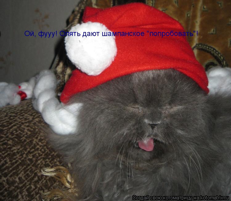 Котоматрица: Ой, фууу! Опять дают шампанское "попробовать"!