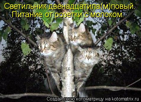 Светильник двенадцатила(м)повый. Питание от розетки с молоком.... Котоматрица: Светильник двенадцатила(м)повый. Питание от розетки с молоком.