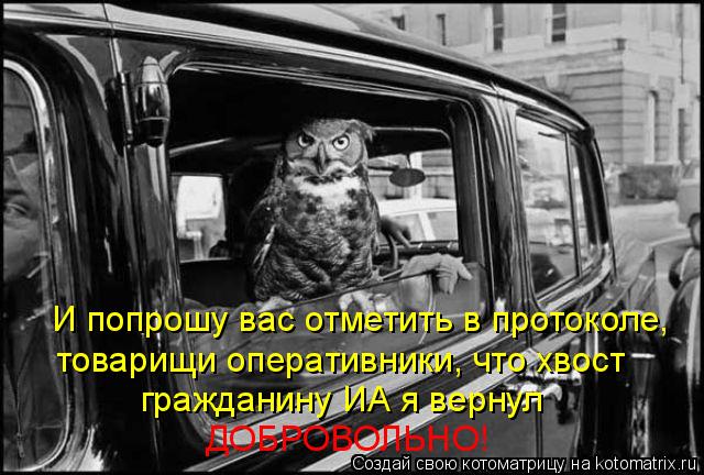 И попрошу вас отметить в протоколе, товарищи оперативники, что хвост гражданину ИА я вернул ДОБРОВОЛЬ... Котоматрица: И попрошу вас отметить в протоколе, товарищи оперативники, что хвост гражданину ИА я вернул ДОБРОВОЛЬНО!