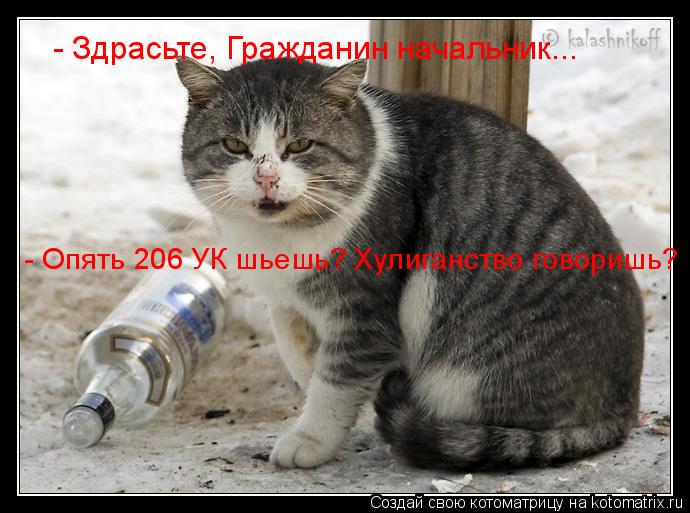 Котоматрица: - Здрасьте, Гражданин начальник... - Опять 206 УК шьешь? Хулиганство говоришь?