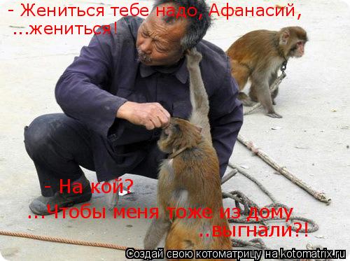 - Жениться тебе надо, Афанасий, ...жениться! - На кой? ...Чтобы меня тоже из дому ..выгнали?!... Котоматрица: - Жениться тебе надо, Афанасий, ...жениться! - На кой? ...Чтобы меня тоже из дому ..выгнали?!