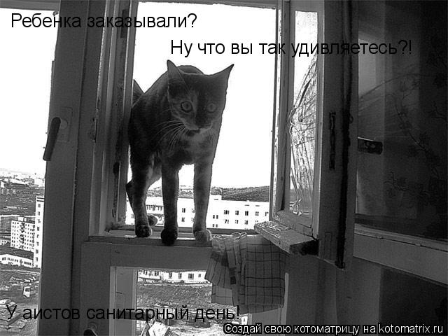 Ребенка заказывали? Ну что вы так удивляетесь?! У аистов санитарный день!... Котоматрица: Ребенка заказывали? Ну что вы так удивляетесь?! У аистов санитарный день!