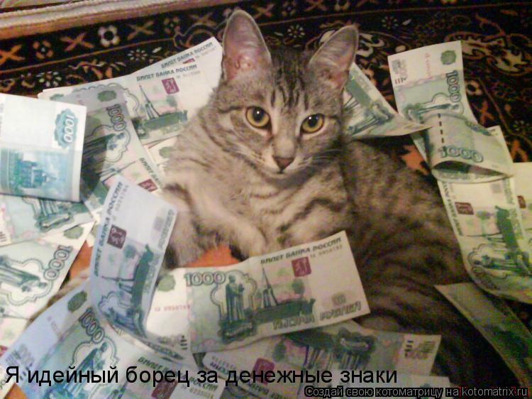 Котоматрица: Я идейный борец за денежные знаки