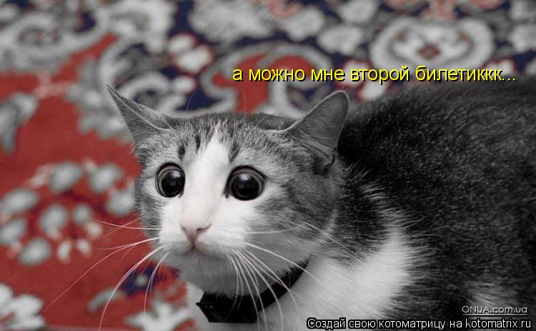 а можно мне второй билетиккк...... Котоматрица: а можно мне второй билетиккк...