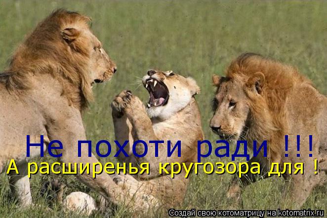 Не похоти ради !!! А расширенья кругозора для !... Котоматрица: Не похоти ради !!! А расширенья кругозора для !
