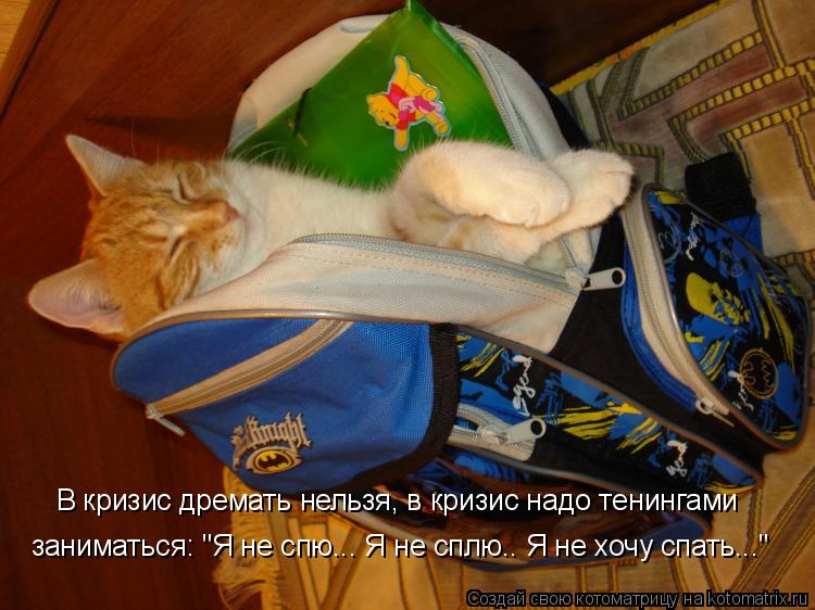 В кризис дремать нельзя, в кризис надо тенингами заниматься: "Я не спю... Я не сплю.. Я не хочу спат... Котоматрица: В кризис дремать нельзя, в кризис надо тенингами заниматься: "Я не спю... Я не сплю.. Я не хочу спать..."