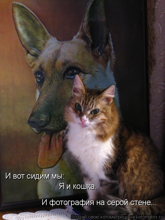 И вот сидим мы: Я и кошка. И фотография на серой стене...... Котоматрица: И вот сидим мы: Я и кошка. И фотография на серой стене...