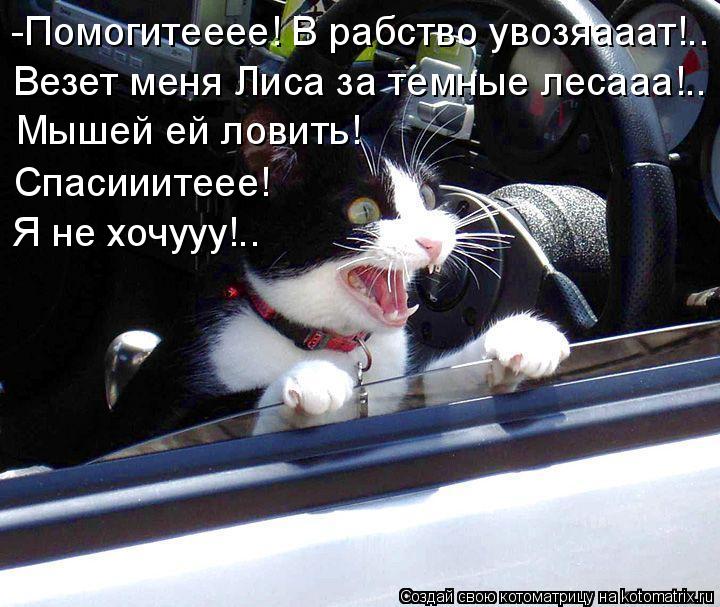 -Помогитееее! В рабство увозяааат!.. Везет меня Лиса за темные лесааа!.. Мышей ей ловить! Спасииитеее... Котоматрица: -Помогитееее! В рабство увозяааат!.. Везет меня Лиса за темные лесааа!.. Мышей ей ловить! Спасииитеее! Я не хочууу!..