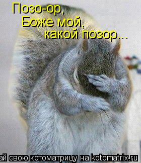 Позо-ор, Боже мой, какой позор...... Котоматрица: Позо-ор, Боже мой, какой позор...