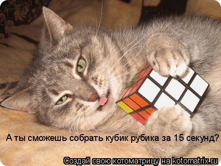 Котоматрица: А ты сможешь собрать кубик рубика за 15 секунд?