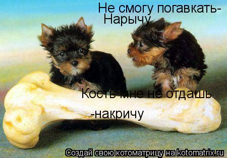 Не смогу погавкать- Нарычу Кость мне не отдашь -накричу... Котоматрица: Не смогу погавкать- Нарычу Кость мне не отдашь -накричу