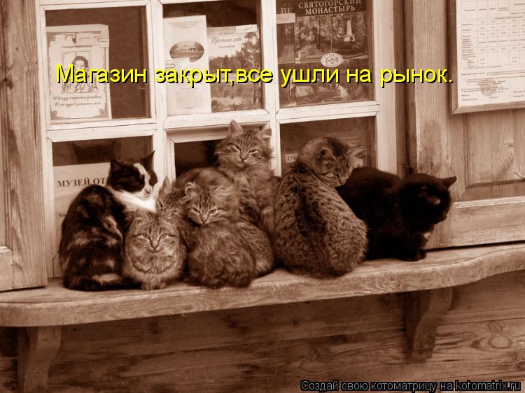 Котоматрица: Магазин закрыт,все ушли на рынок.