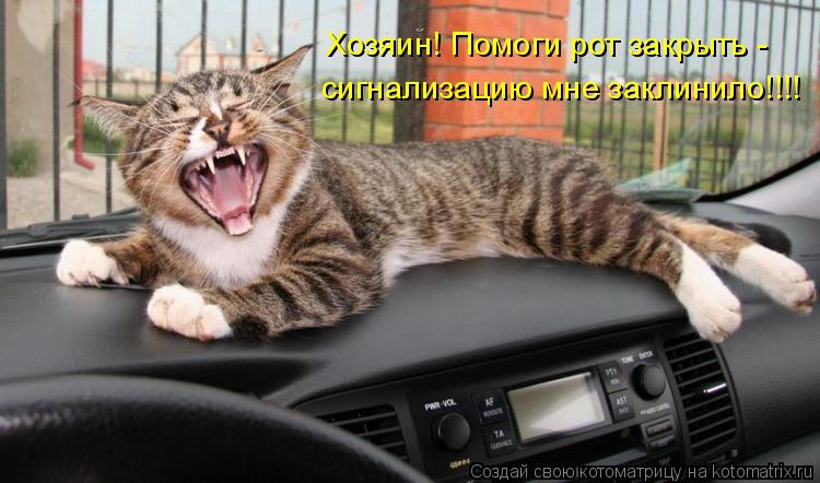 Котоматрица: Хозяин! Помоги рот закрыть - сигнализацию мне заклинило!!!!