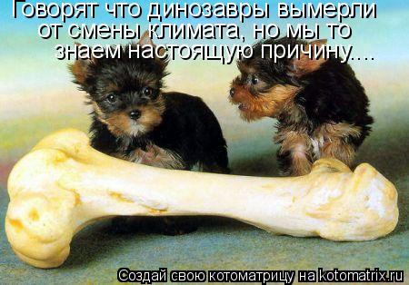 Говорят что динозавры вымерли от смены климата, но мы то знаем настоящую причину....... Котоматрица: Говорят что динозавры вымерли от смены климата, но мы то знаем настоящую причину....