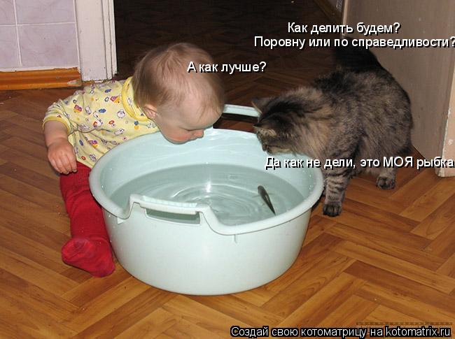 Как делить будем? Поровну или по справедливости? А как лучше? Да как не дели, это МОЯ рыбка!... Котоматрица: Как делить будем? Поровну или по справедливости? А как лучше? Да как не дели, это МОЯ рыбка!