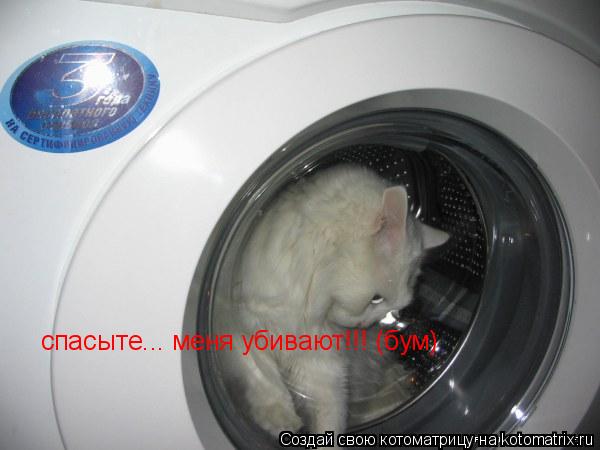 спасыте... меня убивают!!! спасыте... меня убивают!!! (бум)... Котоматрица: спасыте... меня убивают!!! спасыте... меня убивают!!! (бум)