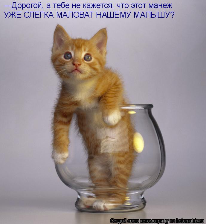 УЖЕ СЛЕГКА МАЛОВАТ НАШЕМУ МАЛЫШУ? ---Дорогой, а тебе не кажется, что этот манеж... Котоматрица: УЖЕ СЛЕГКА МАЛОВАТ НАШЕМУ МАЛЫШУ? ---Дорогой, а тебе не кажется, что этот манеж