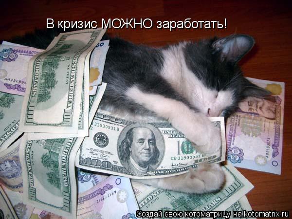 Котоматрица: В кризис МОЖНО заработать!