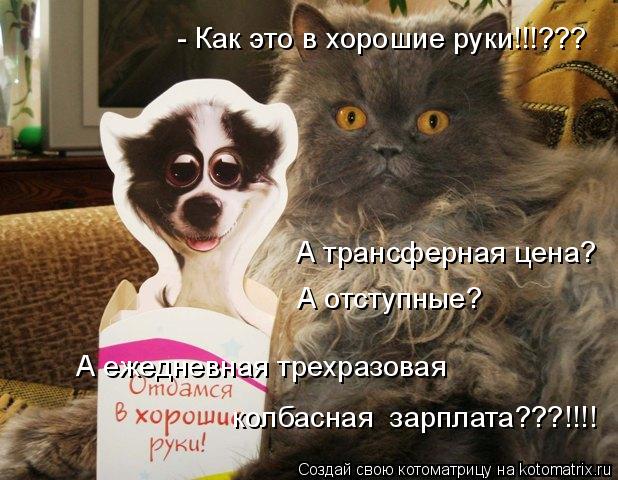 Котоматрица: - Как это в хорошие руки!!!??? А трансферная цена? А отступные? А ежедневная трехразовая  колбасная  зарплата???!!!!