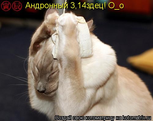 Котоматрица: Андронный 3,14здец! О_о