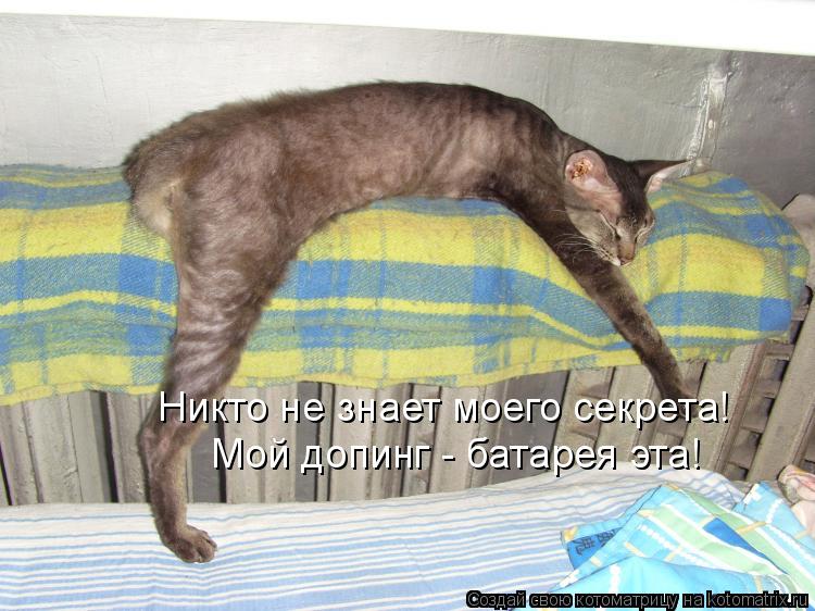 Никто не знает моего секрета! Мой допинг - батарея эта!... Котоматрица: Никто не знает моего секрета! Мой допинг - батарея эта!