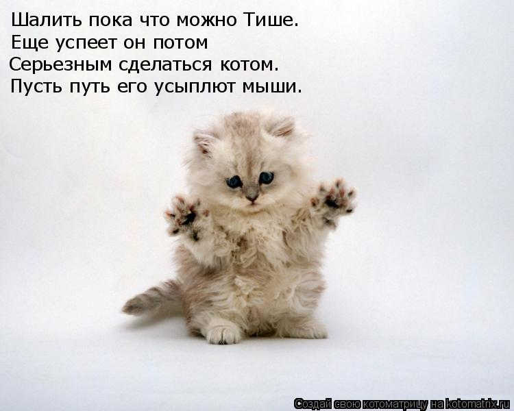Котоматрица: Шалить пока что можно Тише. Еще успеет он потом Серьезным сделаться котом. Пусть путь его усыплют мыши.