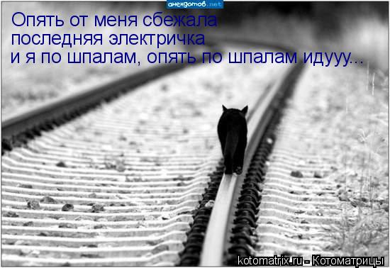 Котоматрица: Опять от меня сбежала последняя электричка и я по шпалам, опять по шпалам идууу...