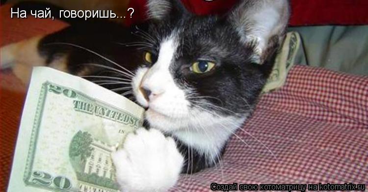 Котоматрица: На чай, говоришь...?