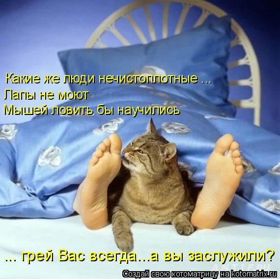 Какие же люди нечистоплотные ... Лапы не моют Мышей ловить бы научились ... грей Вас всегда...а вы за... Котоматрица: Какие же люди нечистоплотные ... Лапы не моют Мышей ловить бы научились ... грей Вас всегда...а вы заслужили?
