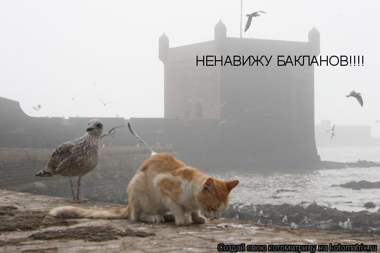 Котоматрица: НЕНАВИЖУ БАКЛАНОВ!!!!
